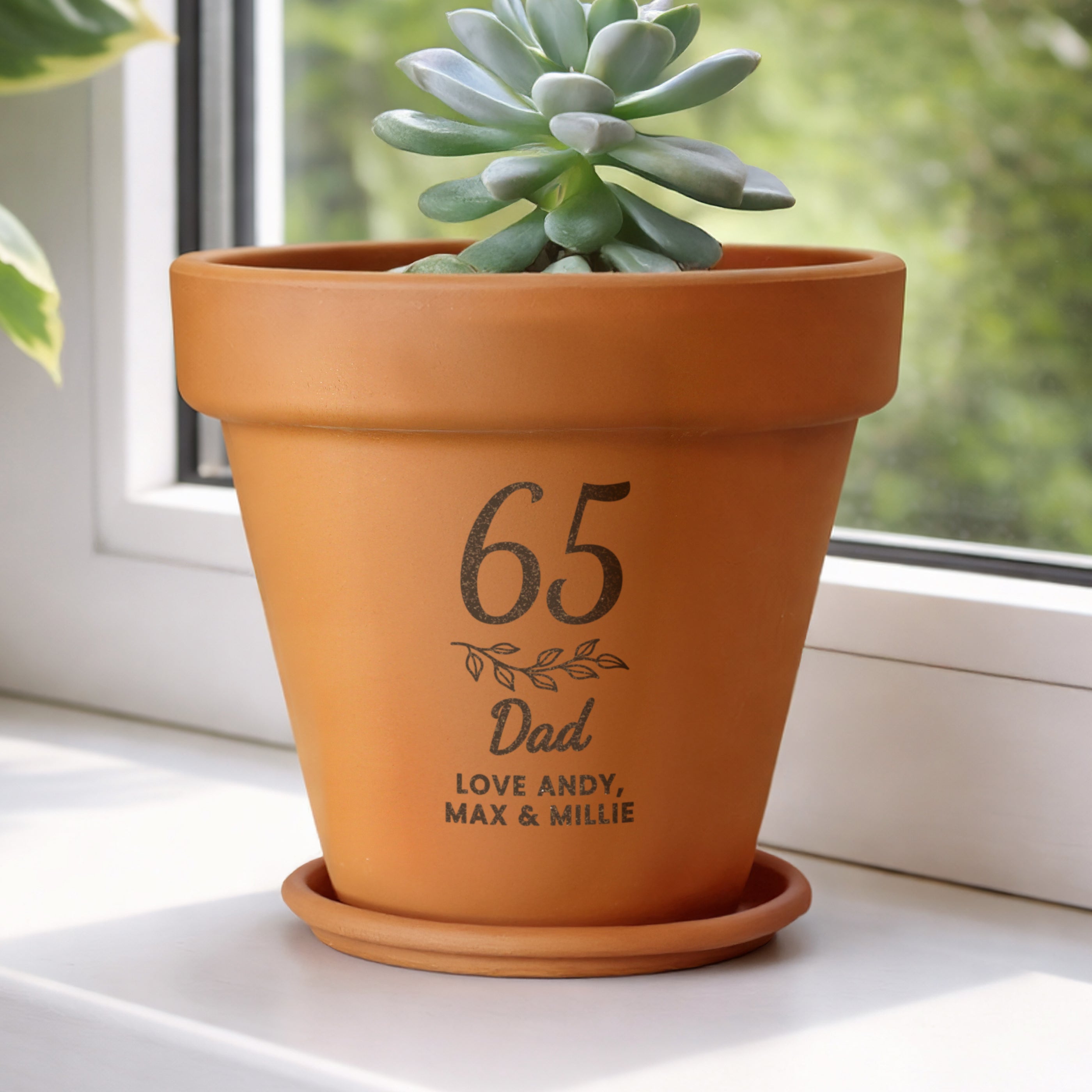 Personalised Big Age Terracotta Plant Pot